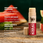 Lip Balm 4-Pack - Pocket Care