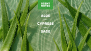 Cool Fresh Aloe Shampoo - Essential Fresh Finish