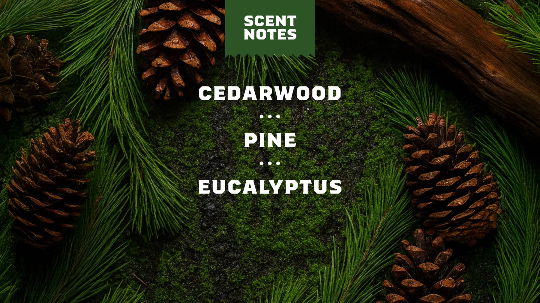 Pine Tar Deodorant - All Day Fresh Glide