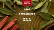 14 oz Sandalwood Summit Body Wash - Classic Shower Bar