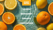 Summer Citrus Invisible Glide Deodorant - Hero Pack