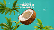 Coconut Castaway Invisible Glide Deodorant - Simple Outdoor Fresh
