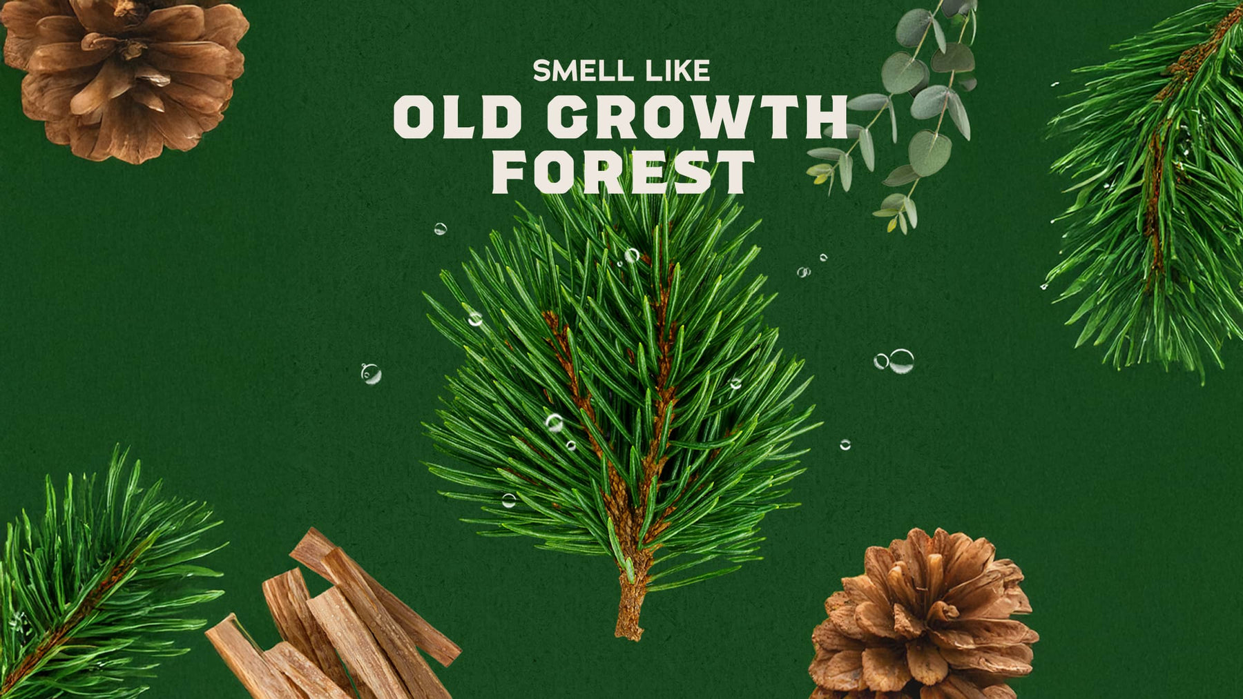 Woodland Pine Cologne - Daily Scent