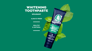 Soothing Spearmint - Night - Mint Care